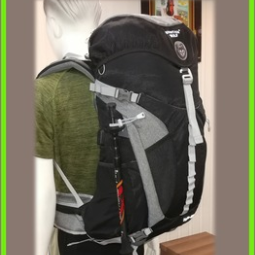 Mountain wolf clearance backpack