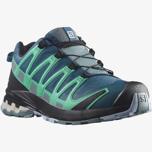 SALOMON XA PRO 3D V8 GTX WS 女裝GORE-TEX防水行山鞋