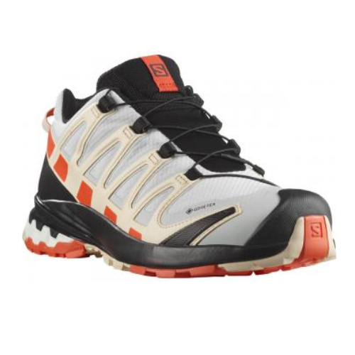 SALOMON XA PRO 3D V8 GTX WS 女裝GORE-TEX防水行山鞋