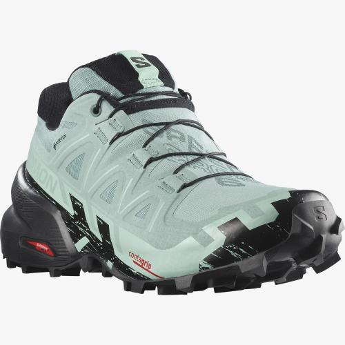 SALOMON SPEEDCROSS 6 GTX WS 女裝GORE-TEX行山鞋