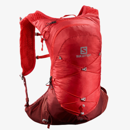 SALOMON XT 10