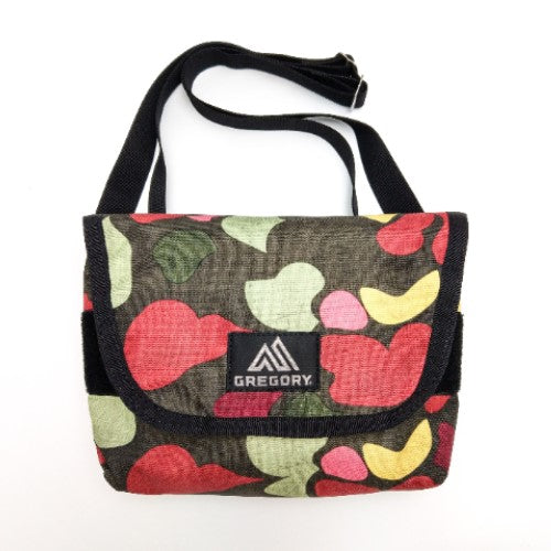 GREGORY TEENY MESSENGER